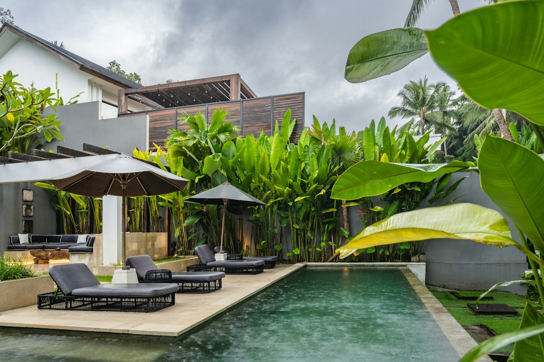 Maison contemporaine entourée de bananiers et de plantes tropicales, piscine et transats sur une terrasse en pierre.