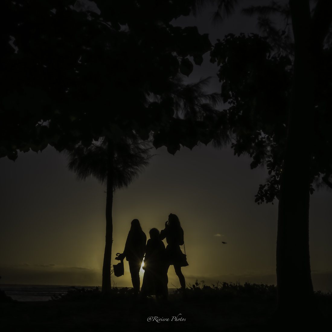 Silhouettes de trois femmes à contre-jour sous les filaos, devant la mer au coucher du soleil.